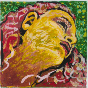 VIOLIN EVAH PIRAZZI NEO SET GOLDSTEEL MEDIUM busta