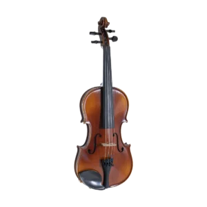 Violino GEWA Allegra 4/4 – vista frontale