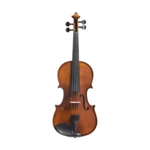 Violino Stentor Graduate 4/4 su sfondo neutro