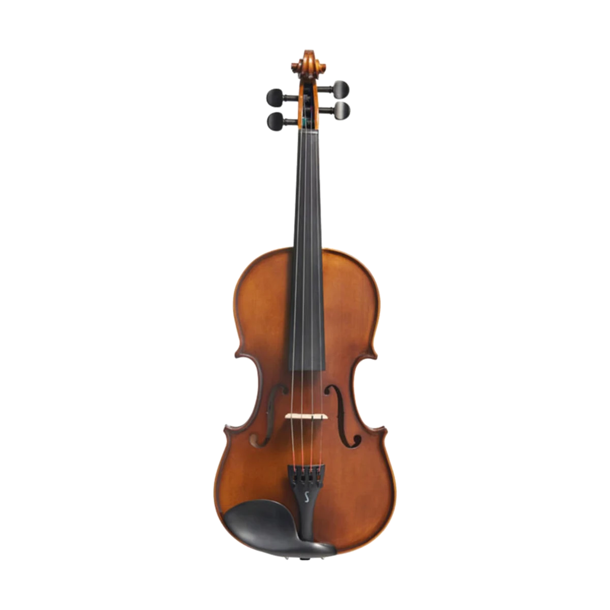 Violino Stentor Graduate 4/4 su sfondo neutro