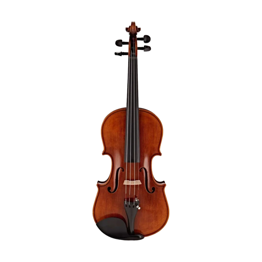 Violino Stentor Messina 4/4 su sfondo neutro