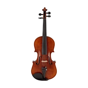 Violino Stentor Messina 4/4 su sfondo neutro