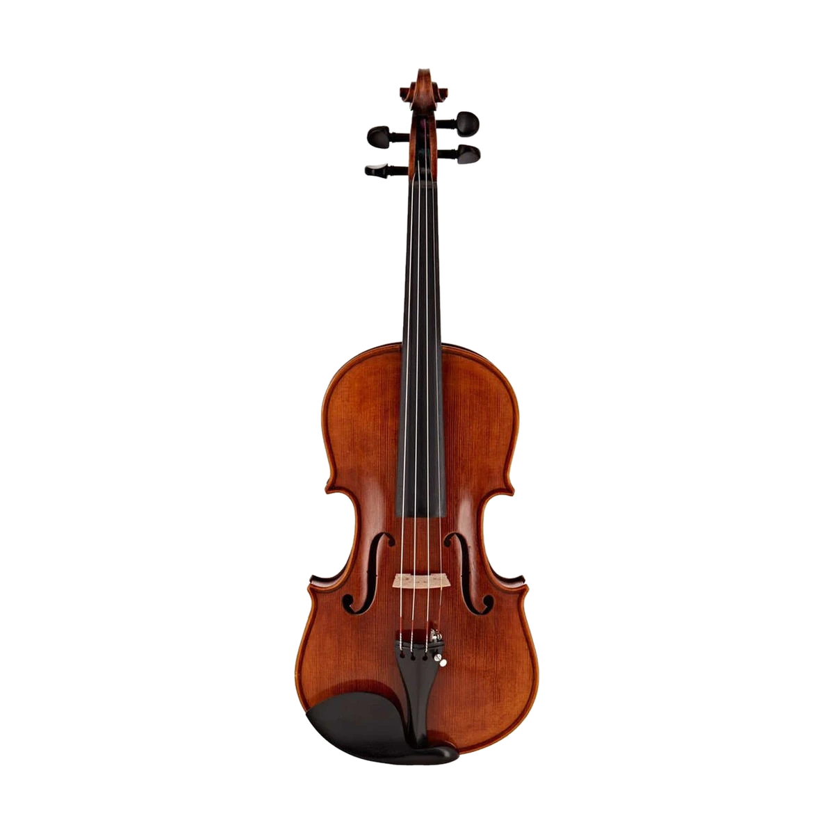 Violino Stentor Messina 4/4 su sfondo neutro